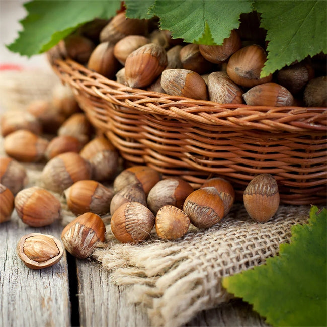 Hazelnut American White