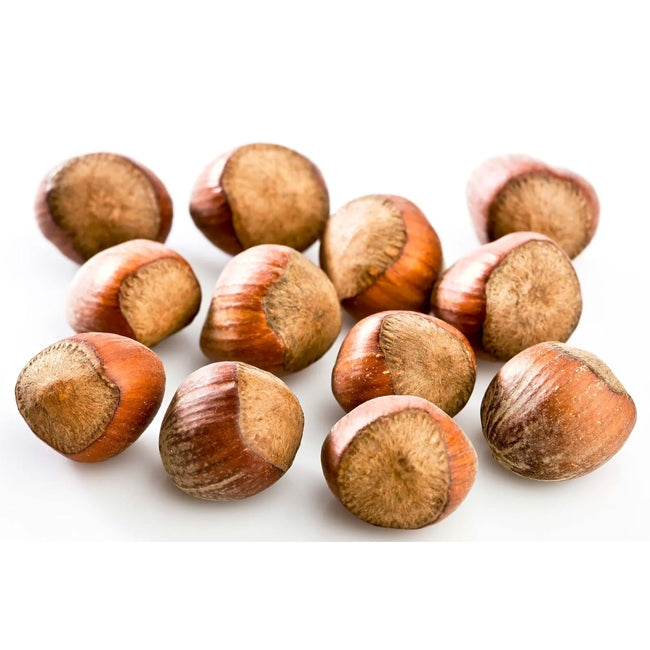 Hazelnut Turkish Cosford