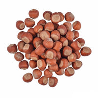 Hazelnut Turkish Cosford - Ladybird Nursery