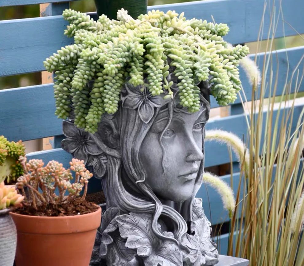 Head Planter Pot - Ladybird Nursery