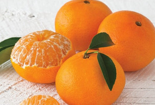 Honey Murcott Mandarin (QLD Only)