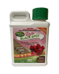 250ml Sharp Shooter ‘Rose Black Spot & Insect Concentrate’ - Ladybird Nursery