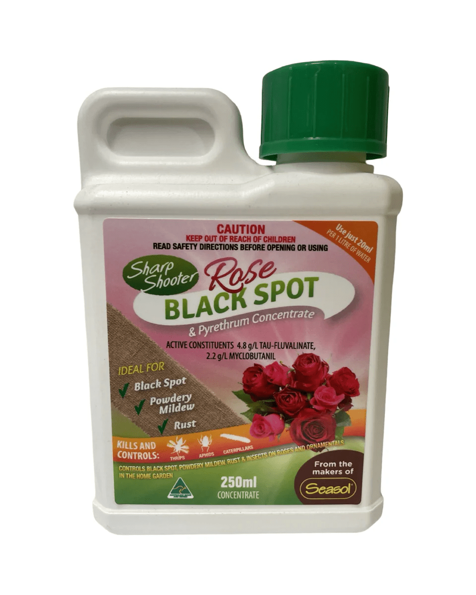 250ml Sharp Shooter ‘Rose Black Spot & Insect Concentrate’ - Ladybird Nursery