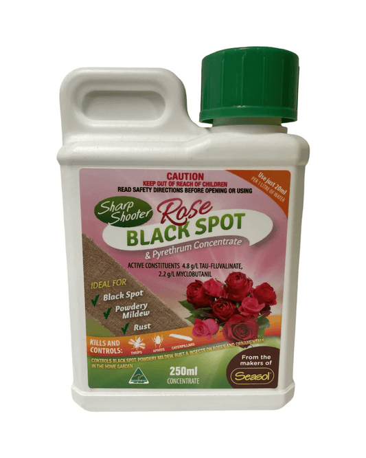 250ml Sharp Shooter ‘Rose Black Spot & Insect Concentrate’ - Ladybird Nursery