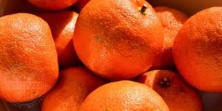 Seville Orange 'Smooth Skin' (QLD Only) - Ladybird Nursery