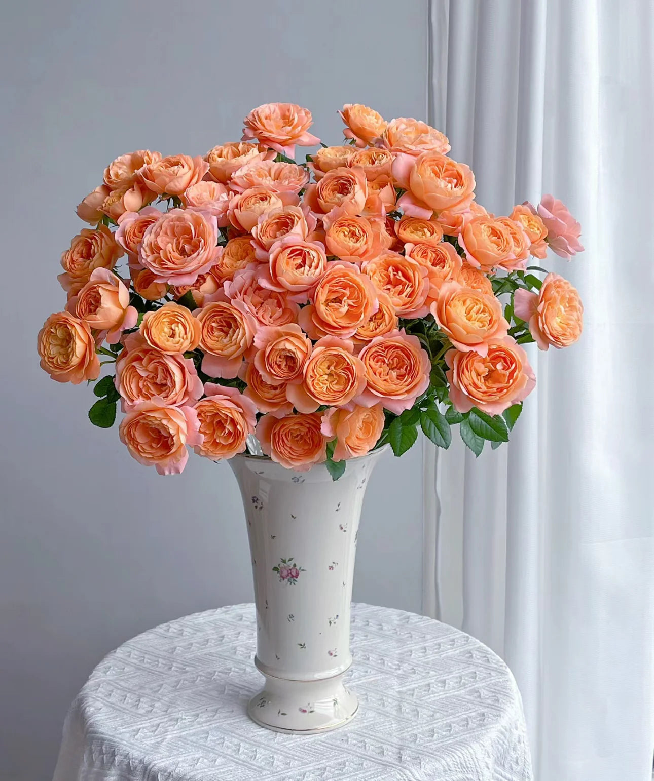 Rosa Terrazza® Scented Peach (Rosa)