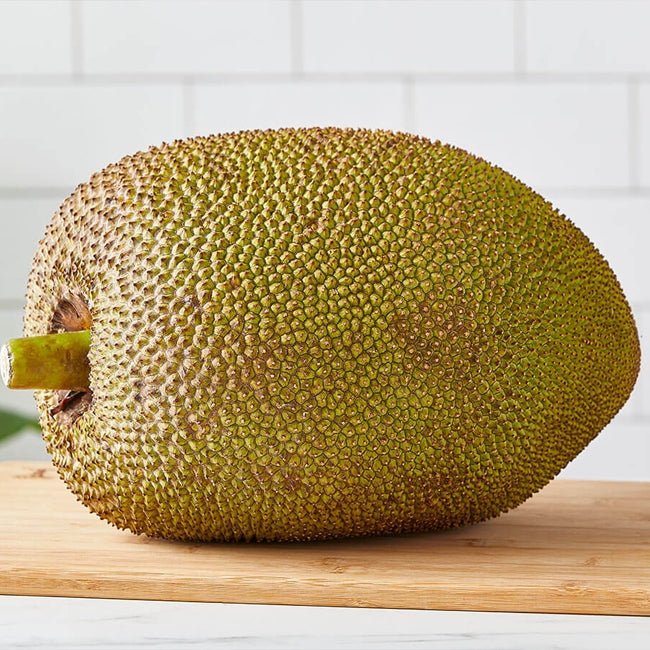 Jakfruit Duranbah Gold - Ladybird Nursery