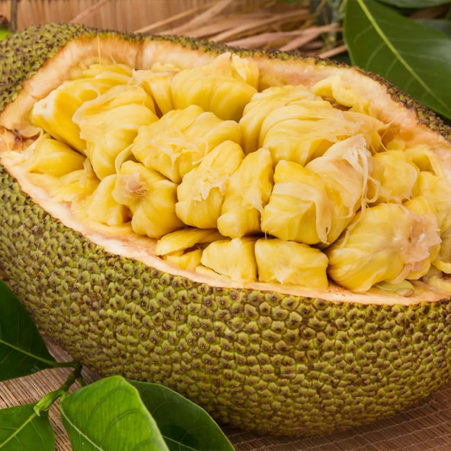 Jackfruit