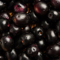 Jambolan Plum - Ladybird Nursery