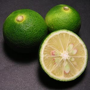 Japanese Sudachi Lime (QLD only) - Ladybird Nursery