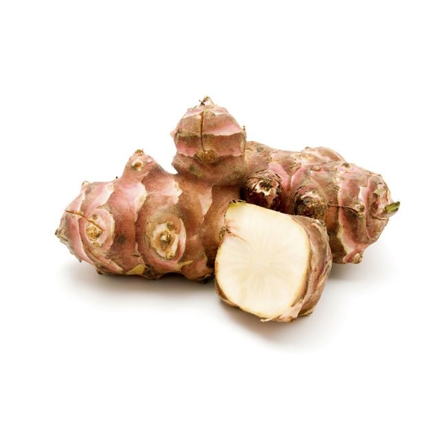 Jerusalem Artichoke - Ladybird Nursery