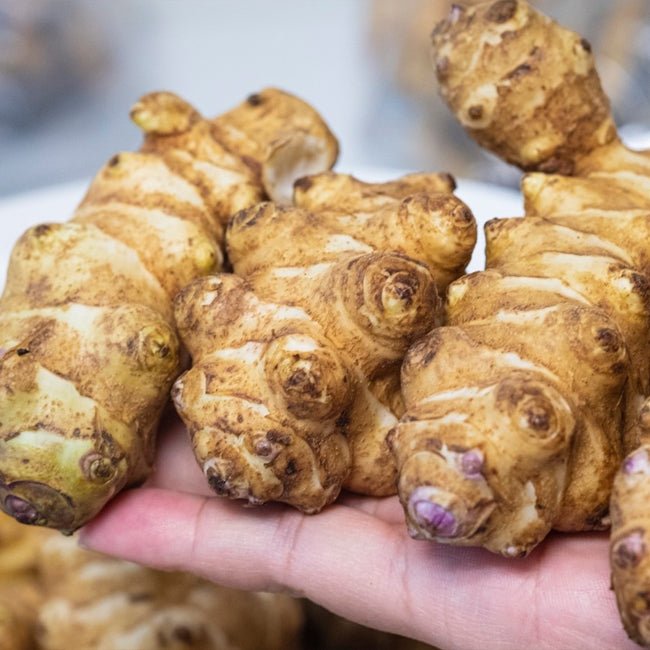 Jerusalem Artichoke - Ladybird Nursery
