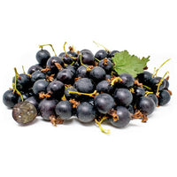 Jostaberry - Ladybird Nursery