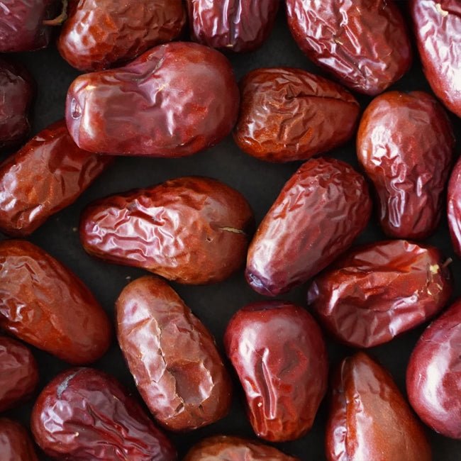 Jujube Rootstock - Ladybird Nursery