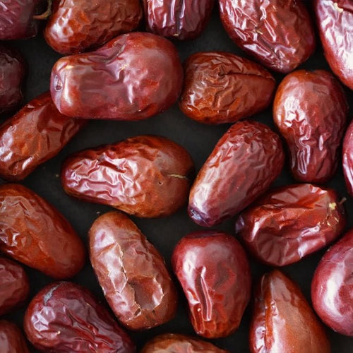 Jujube Rootstock - Ladybird Nursery