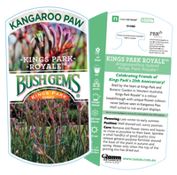 Kangaroo Paw 'Kings Park Royale' (Anigozanthos) - Ladybird Nursery