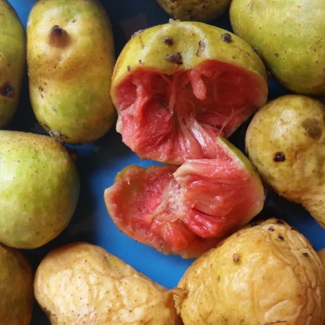 Kwai Muk Richmond - Ladybird Nursery