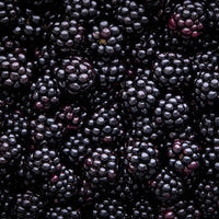 Lawtonberry - Ladybird Nursery