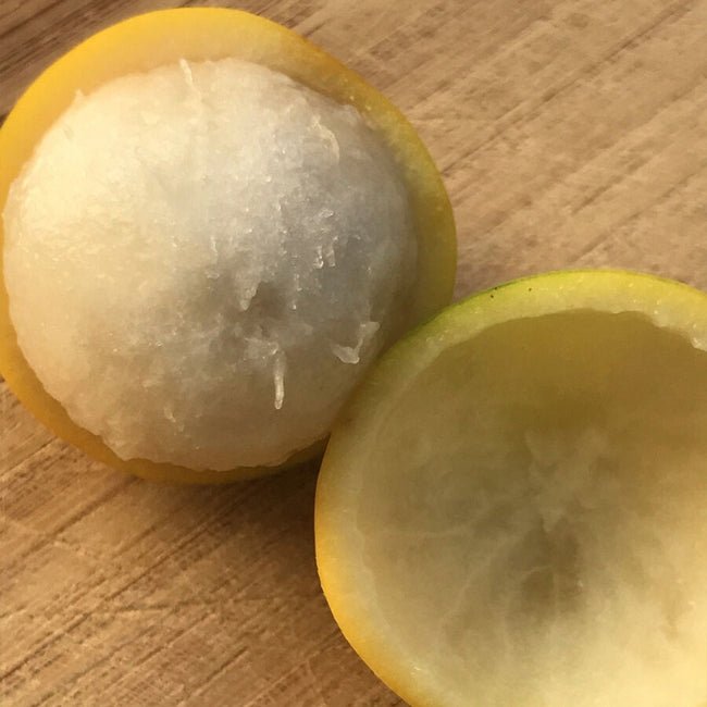Lemon Drop Mangosteen - Ladybird Nursery