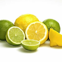 Lemon Villa Franca (QLD Only) - Ladybird Nursery
