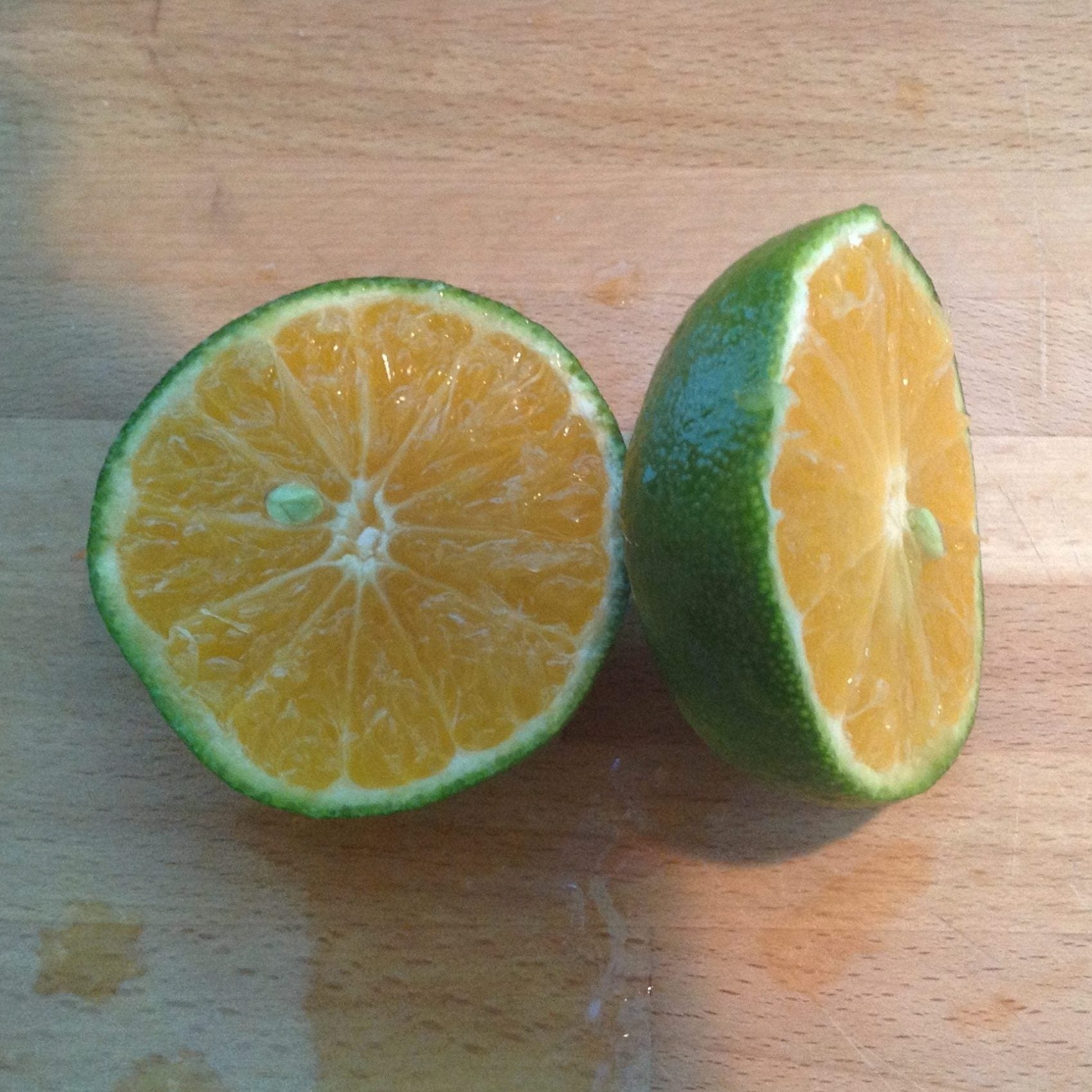 Lime 'Kassia' (QLD Only) - Ladybird Nursery