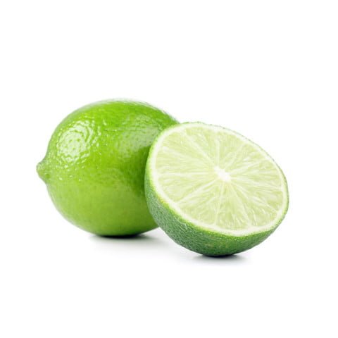 Lime 'Tahitian' 140mm Pots (QLD Only) - Ladybird Nursery