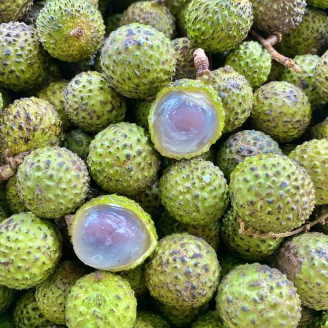 Longan Cats Eye - Ladybird Nursery