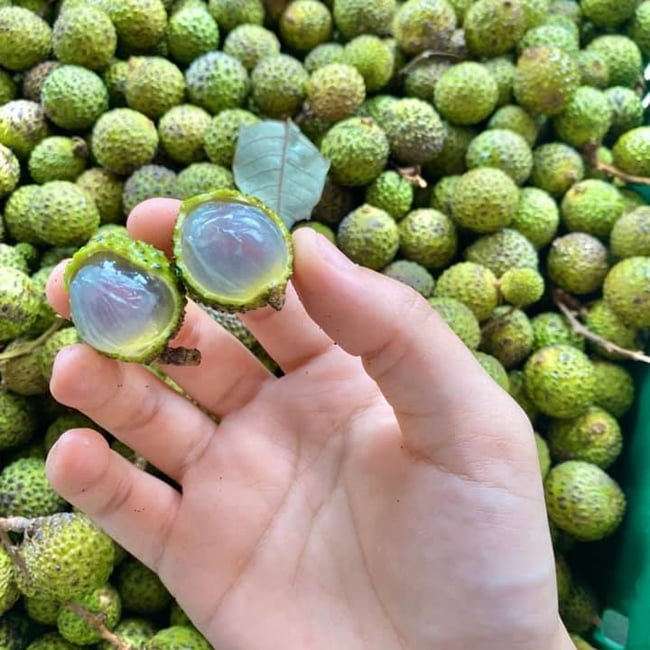 Longan Cats Eye - Ladybird Nursery