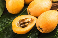 Loquat