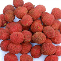 Lychee No Mai Chi - Ladybird Nursery