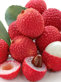 Red Ball Lychee - Ladybird Nursery