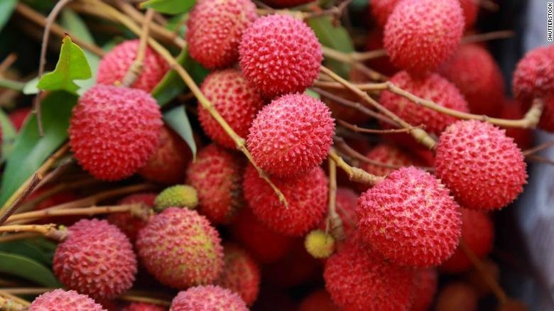 Kwai Mai Pink Lychee 250mm (PICK UP ONLY) - Ladybird Nursery