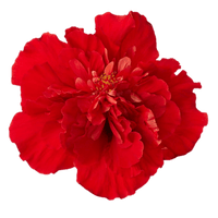 Hibiscus Flamenco™ Medusa