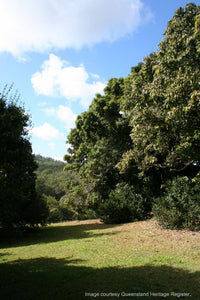 Macadamia H2 - Ladybird Nursery