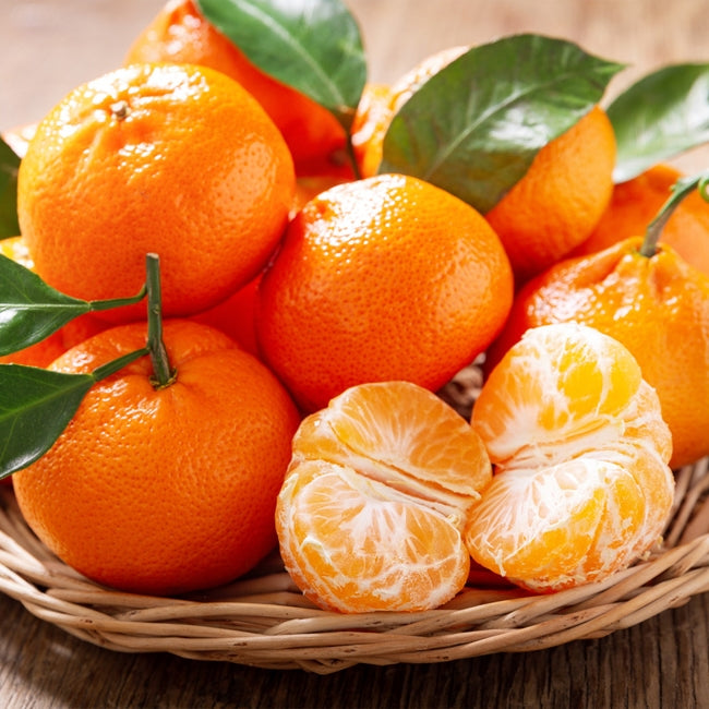 Mandarin  Afourer Murcott