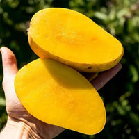 Mango Chok Anan