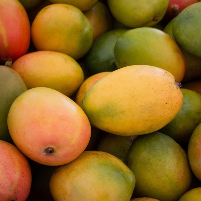 Mango Ricks Bowen - Ladybird Nursery