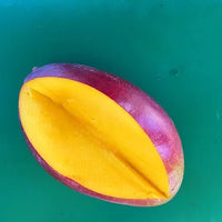 Mango 'Zillate' - Ladybird Nursery