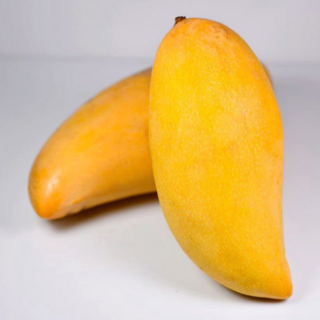Mango 'Nam Doc Mai' - Ladybird Nursery
