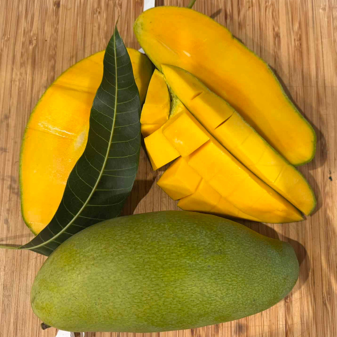 Mango 'New Guinea Long' - Ladybird Nursery