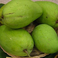 Mango ‘Saigon' - Ladybird Nursery