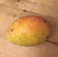 Mango ‘Saigon' - Ladybird Nursery