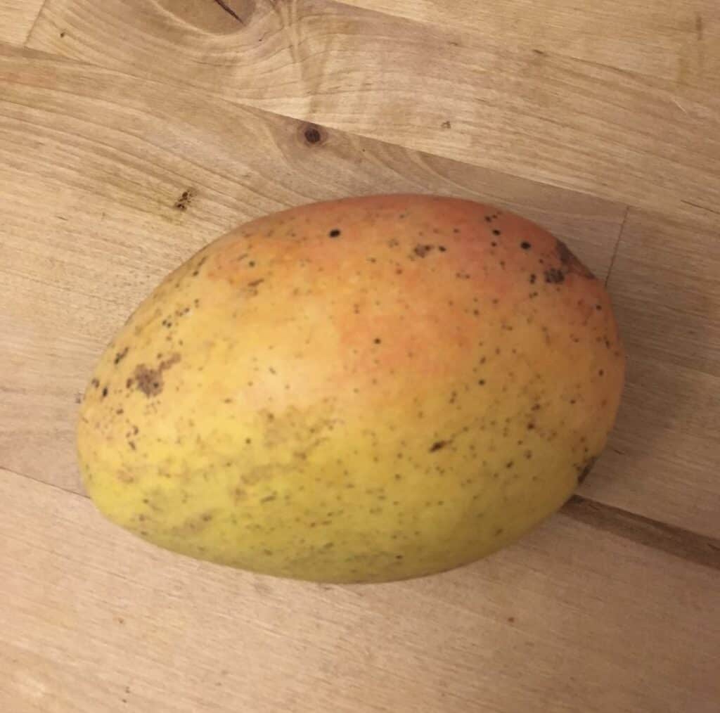 Mango ‘Saigon' - Ladybird Nursery
