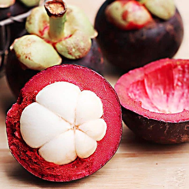 Mangosteen 'Purple'