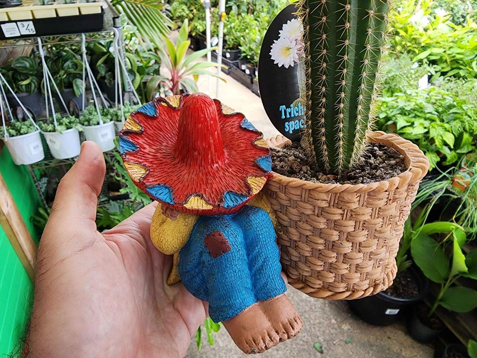 Mexican with Cactus Planter - Ladybird Nursery