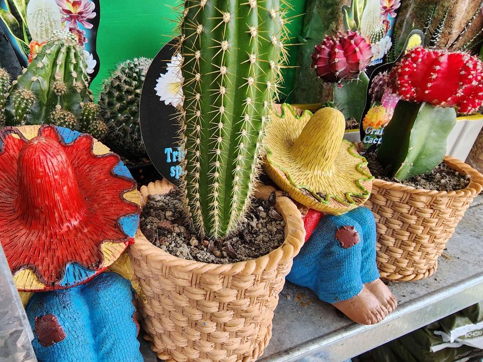 Mexican with Cactus Planter