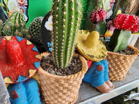 Mexican with Cactus Planter