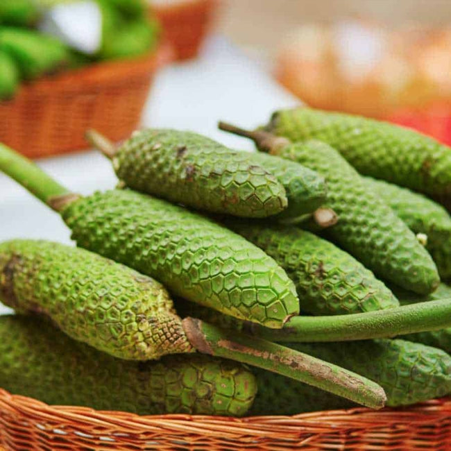 Monstera Fruit Salad Tree