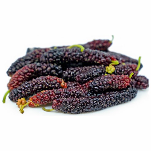 Mulberry Pakistan Black - Ladybird Nursery