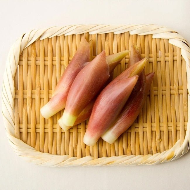 Myoga Ginger - Ladybird Nursery